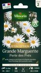 Fleurs - Grande Marguerite Perle des Prés - Graines d'Exception - PACKAGING_RECTO
